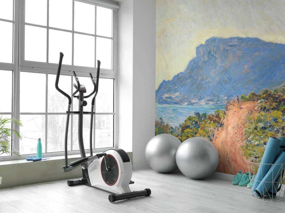 La Corniche nära monaco