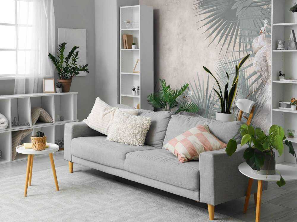 Påfåglar i tropikerna