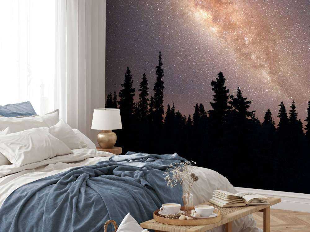 Vintergatan över siluett av träd