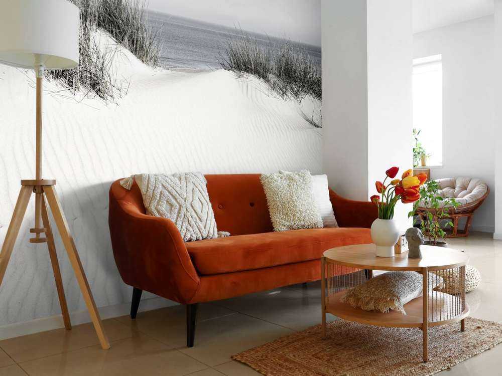 Dynpassage till stranden svart och vit