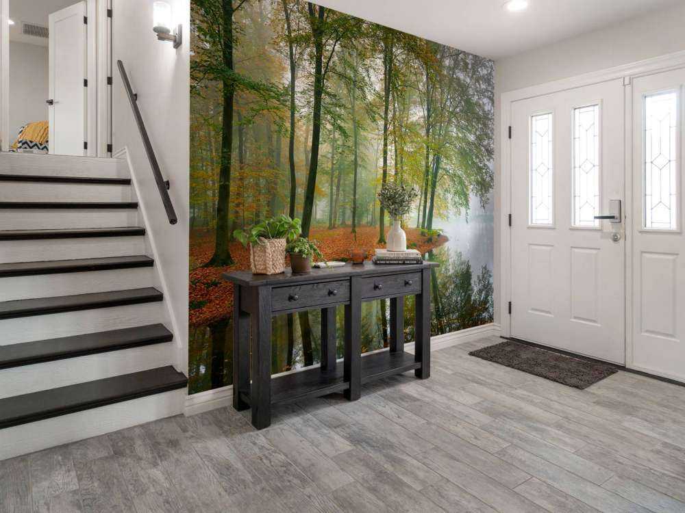 Trädens reflektion i en damm