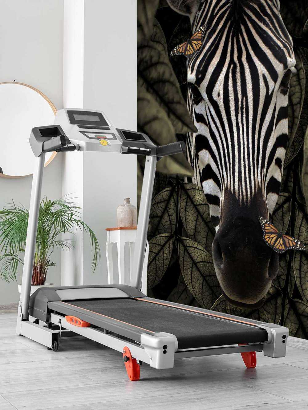 Porträtt av djungelzebra