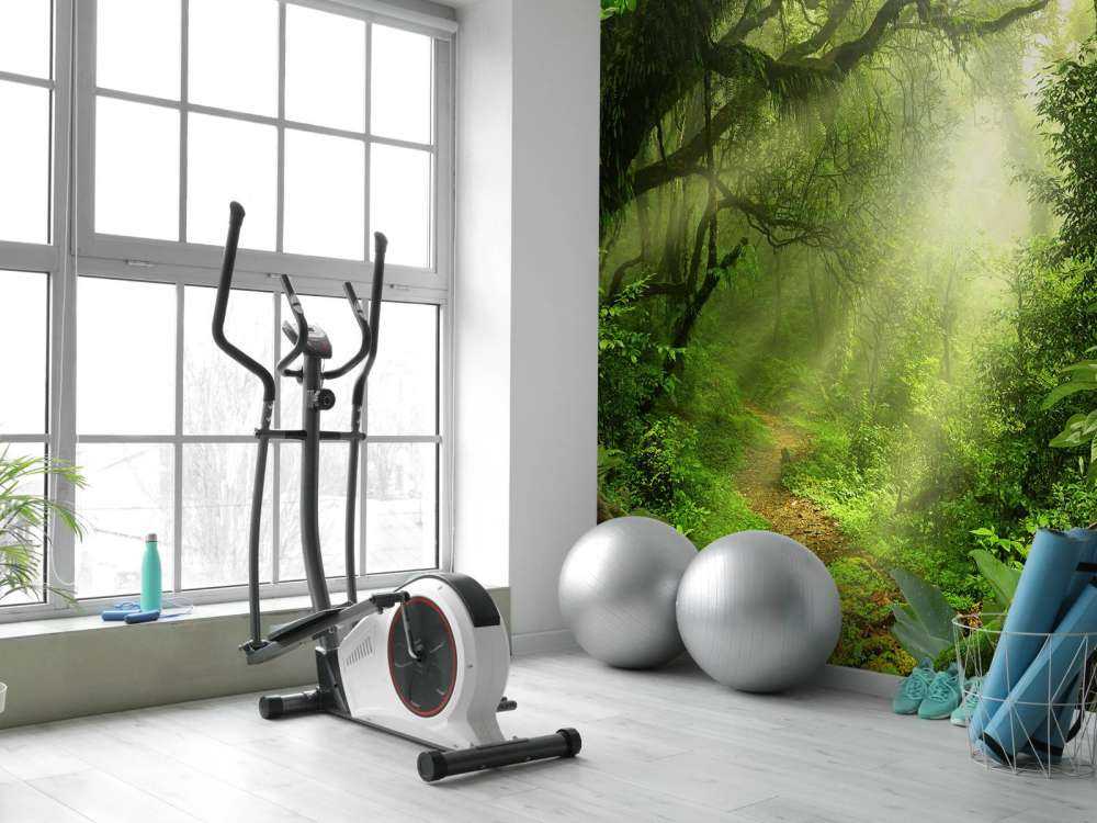 Djungel med solstrålar