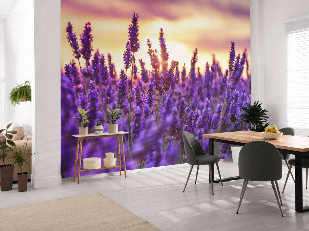 Lavendelblommor