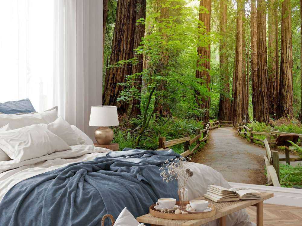 Höga träd parkerar in