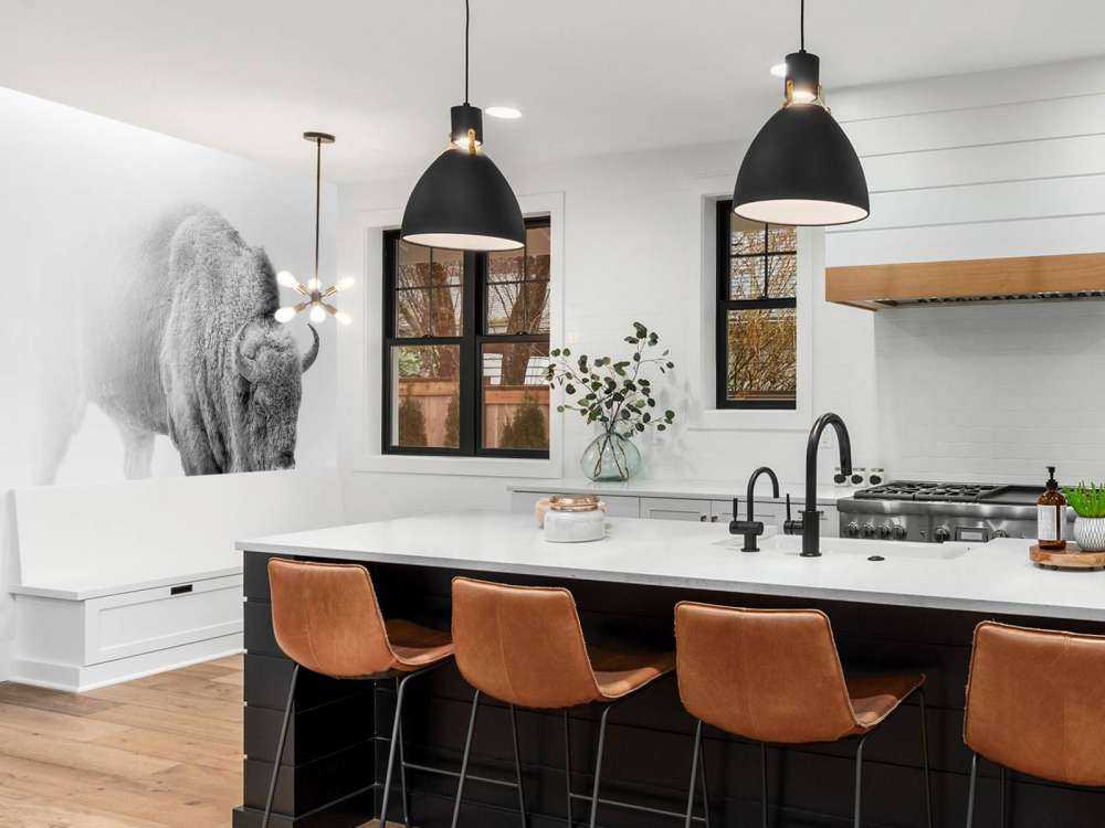 Bison svart, vit