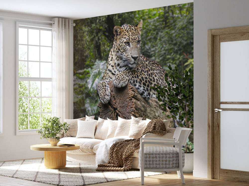 Leopard på träd