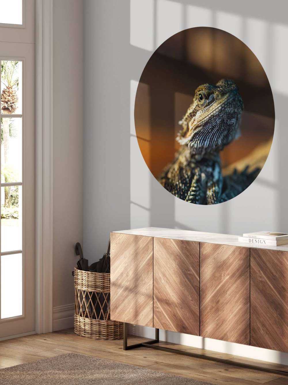 Närbild av kameleon