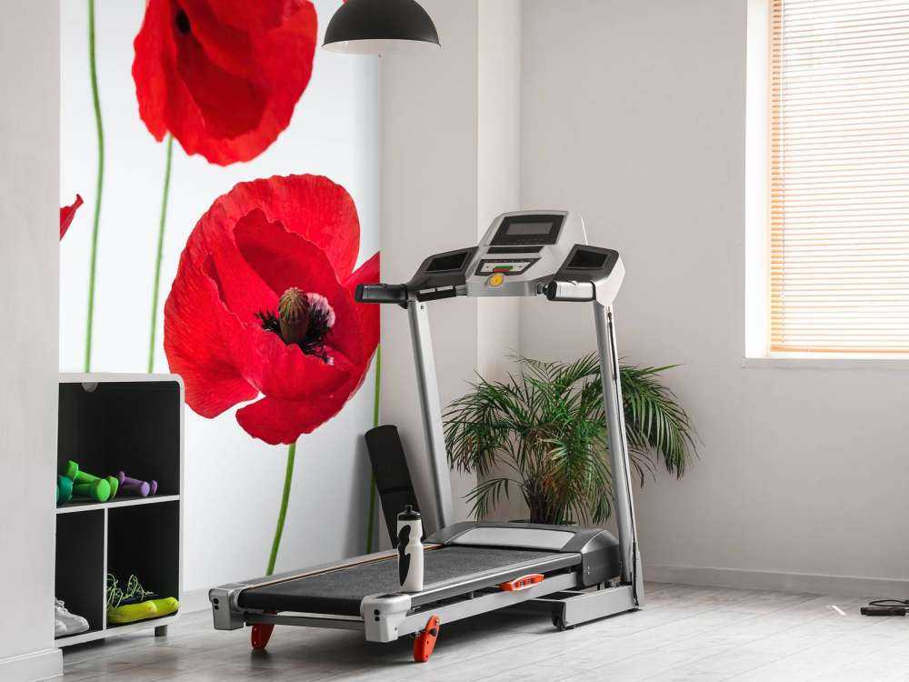 Vallmor på vit bakgrund