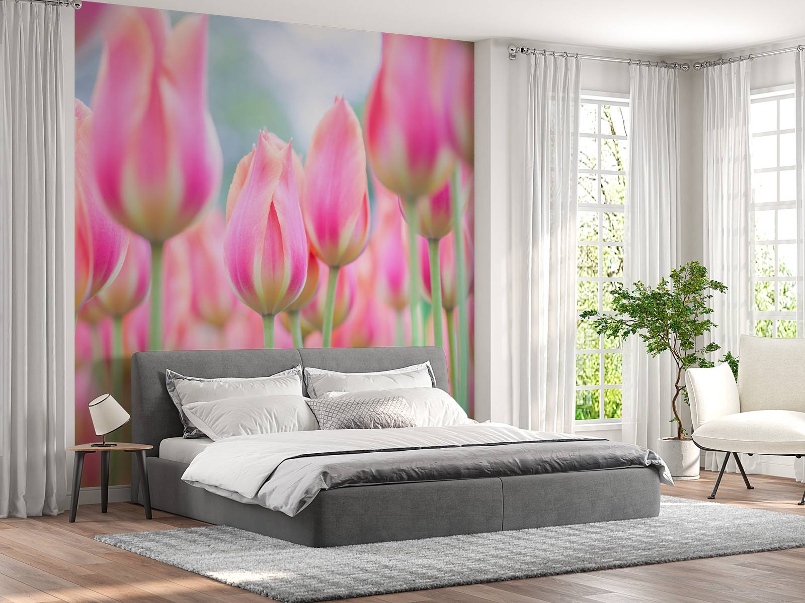 Närbild rosa tulpaner