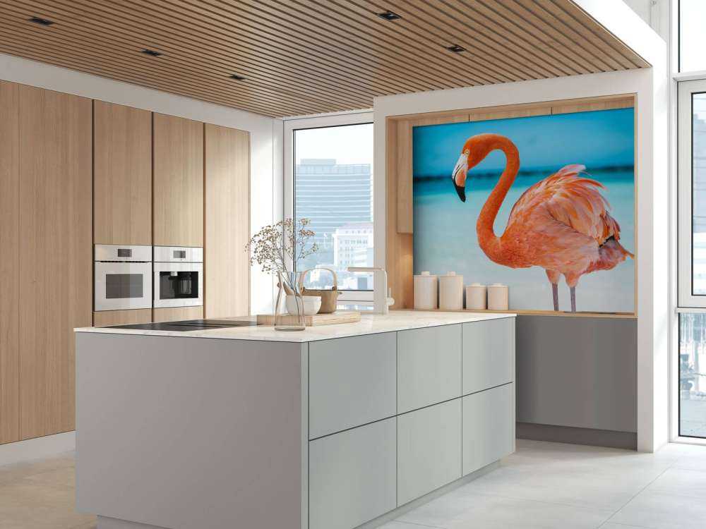 Tropiska flamingo