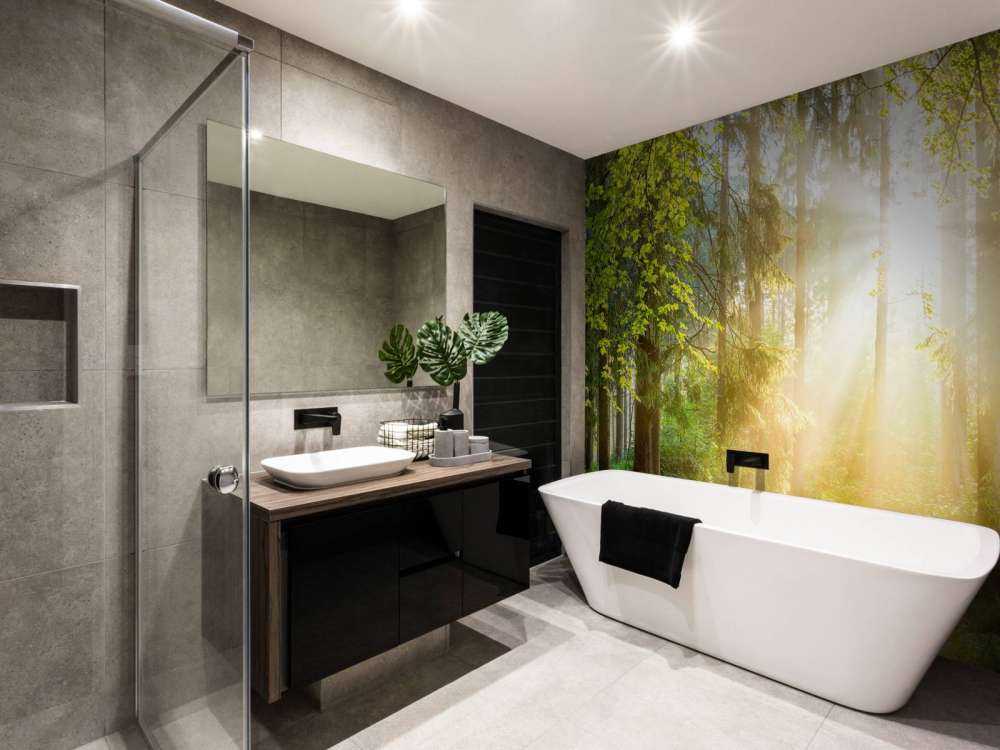 Skoglandskap på soluppgång