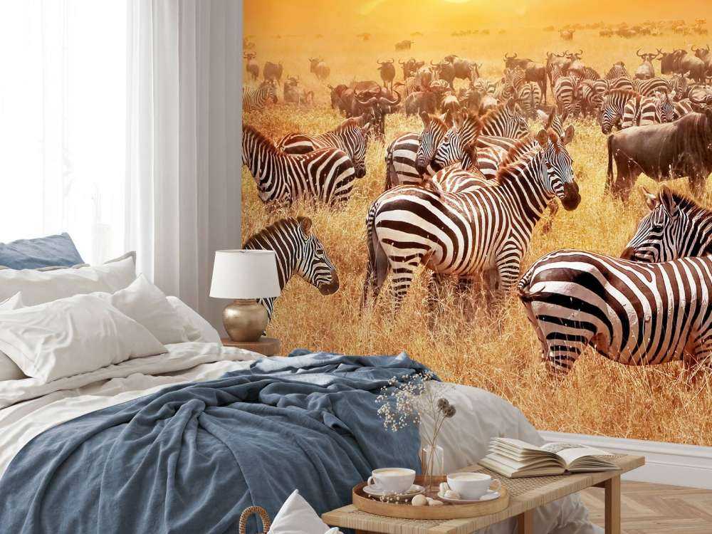 Savanna sol med zebraer