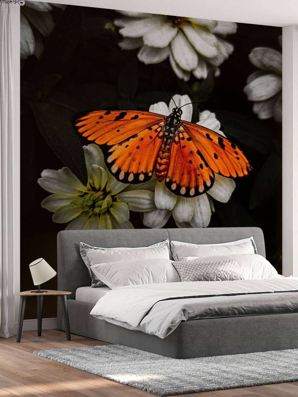 Monark-sommerfugl på en blomst