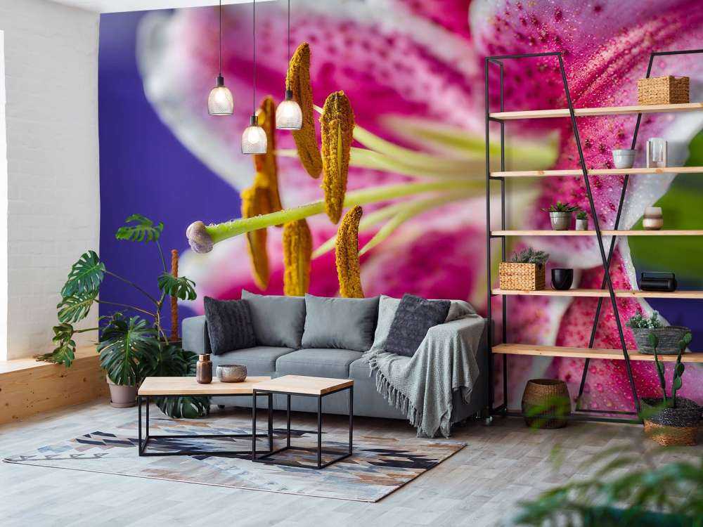 Nærbillede af lyserød blomst