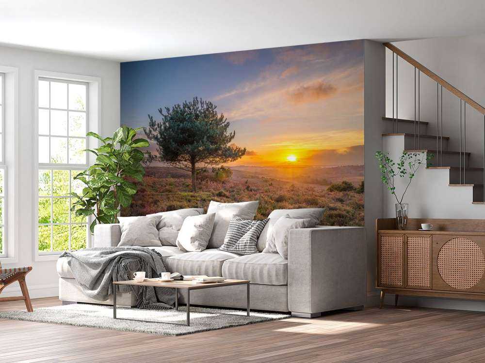 Solnedgang på heden