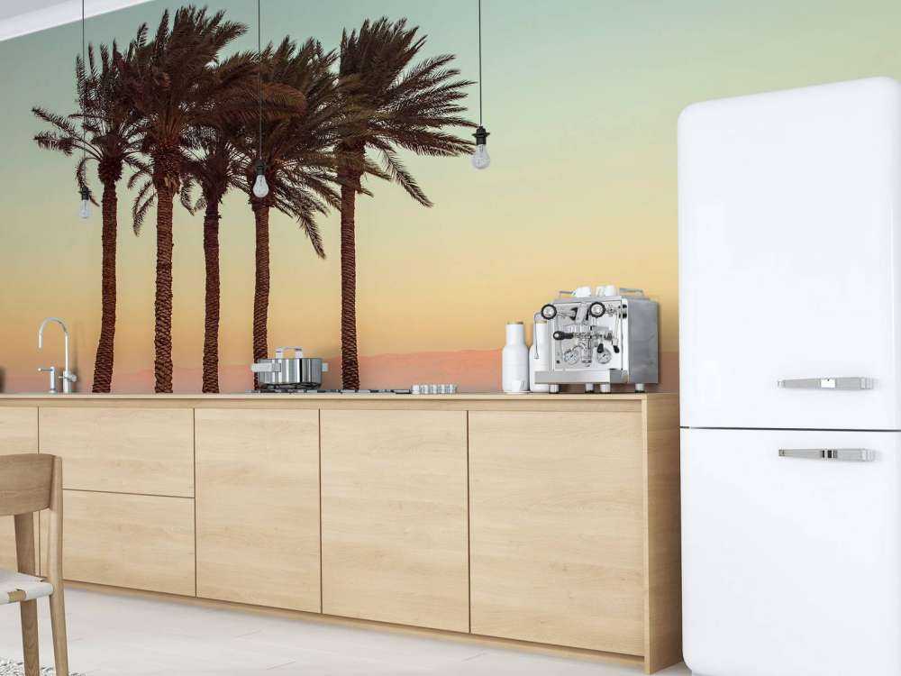 Palmetræer ved solnedgang