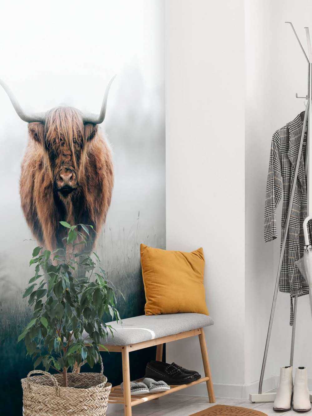 Skotsk højlænder i tæt tåge