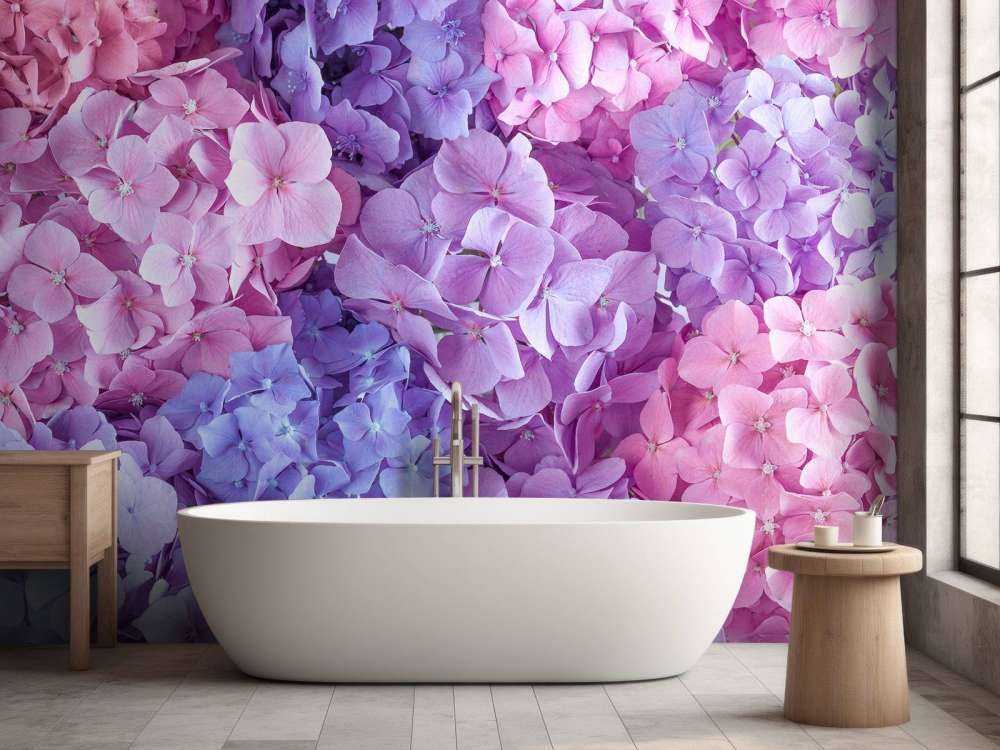 Farverige hortensiaer