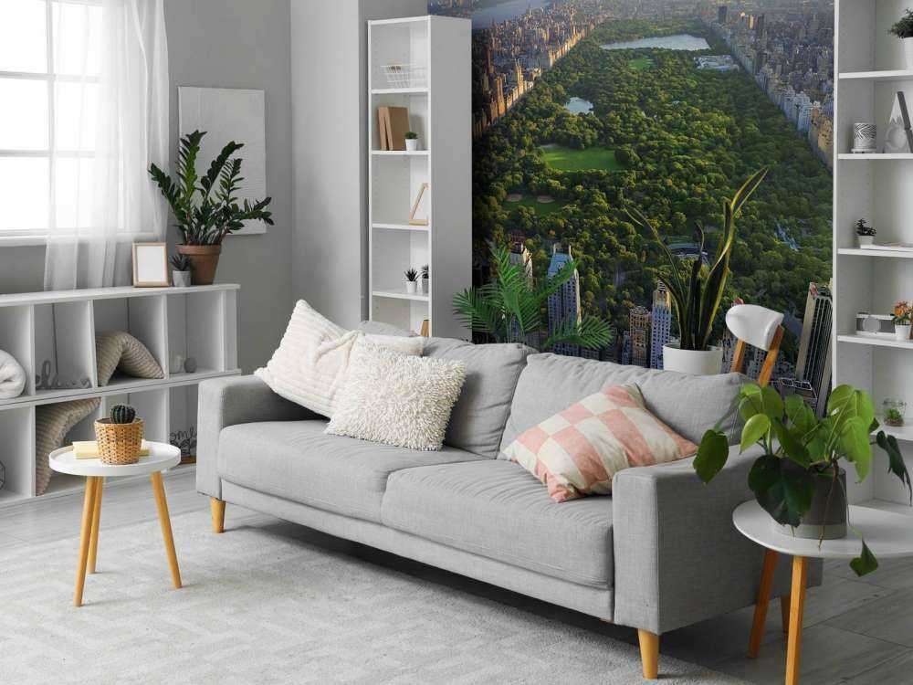 Central Park