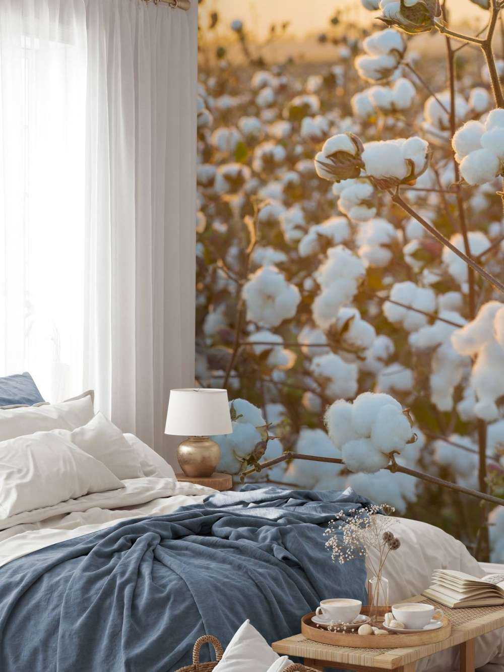 Bomuldsmark med gylden gul himmel