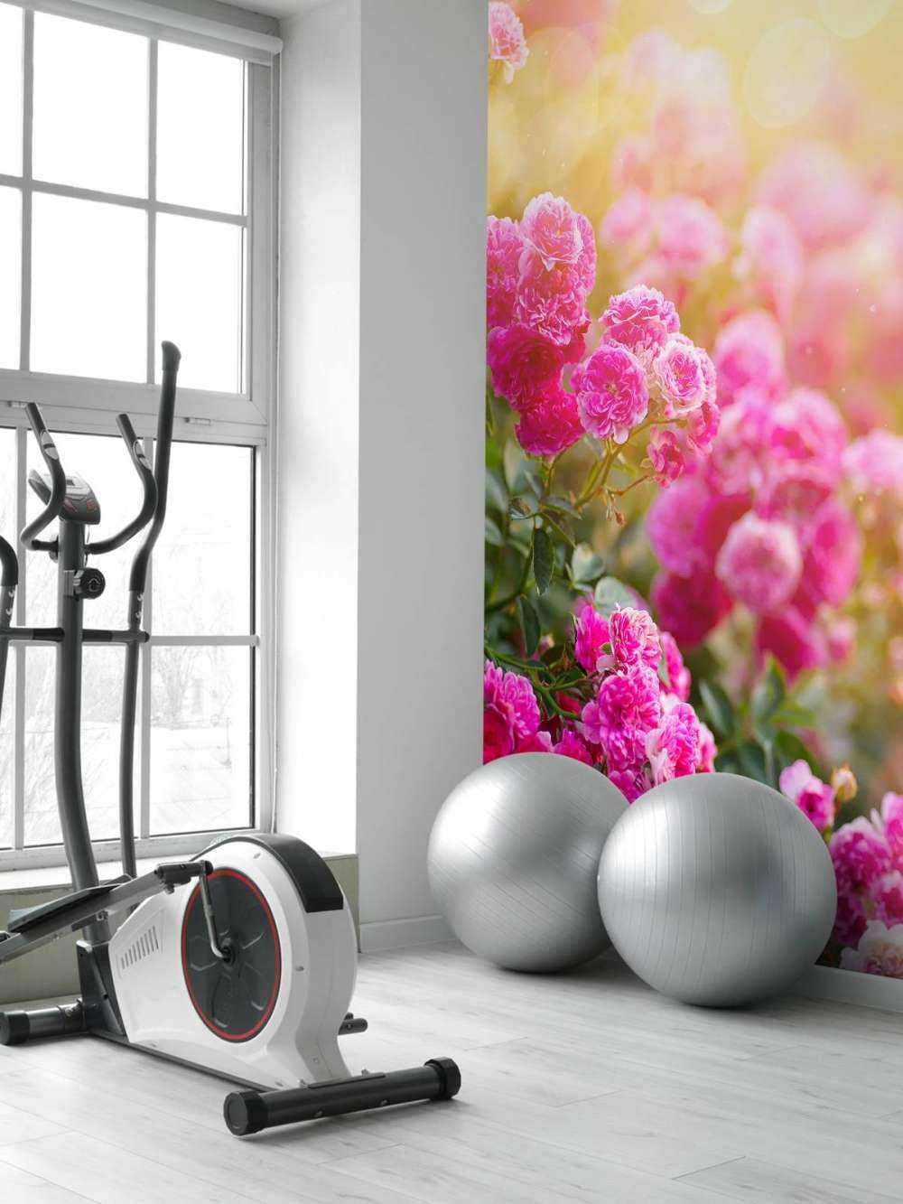 Lyserøde rosenbuske