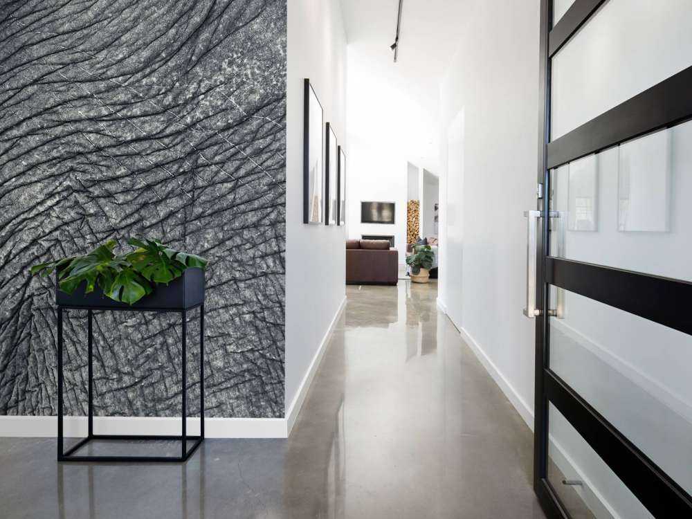 Nærbillede af elefantskind