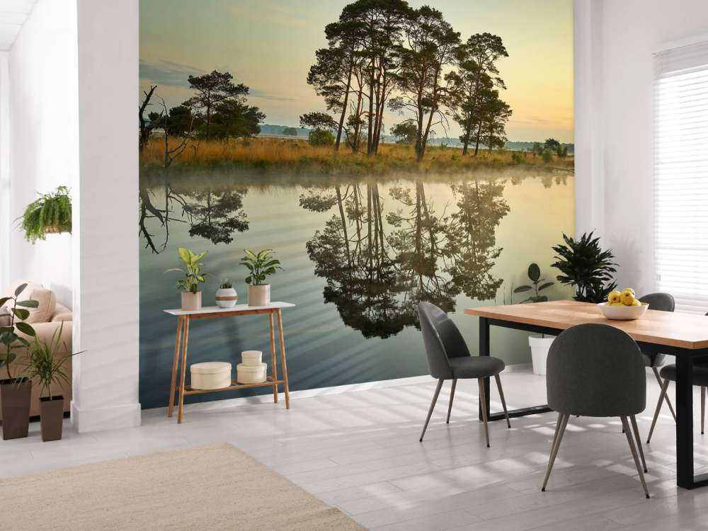 Refleksion i skovårer