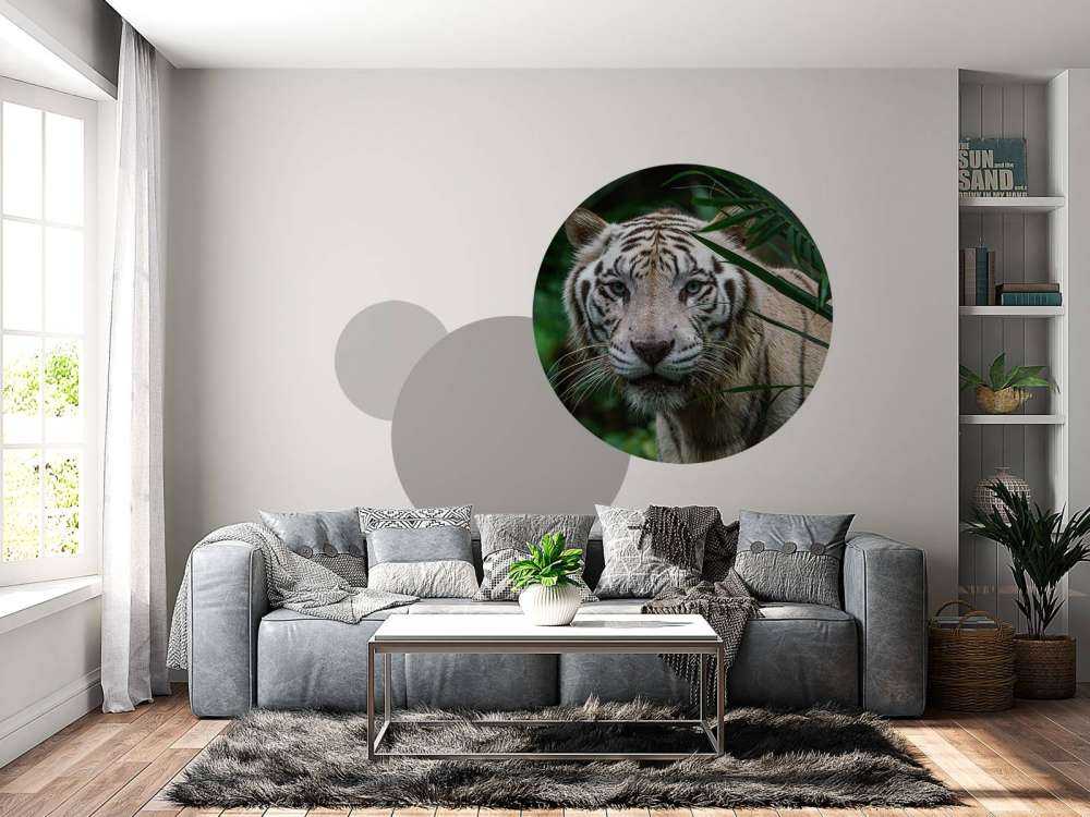 Hvid tiger