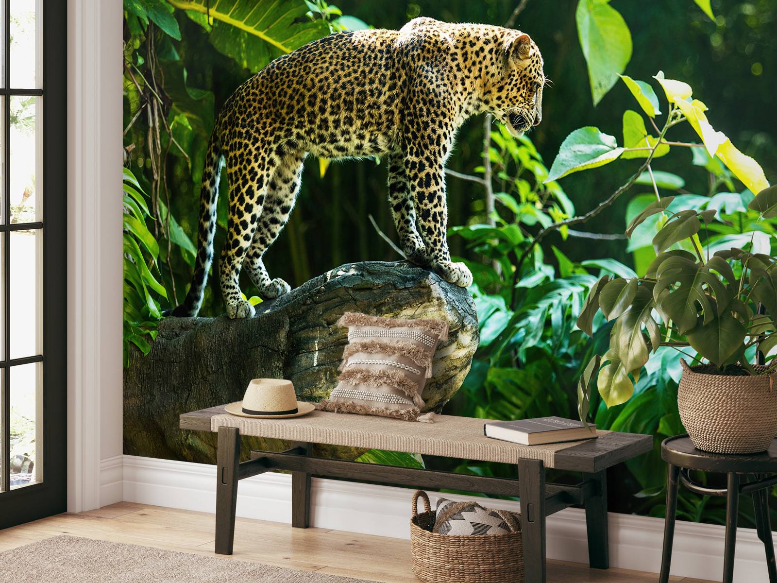 Leopard på en klippe