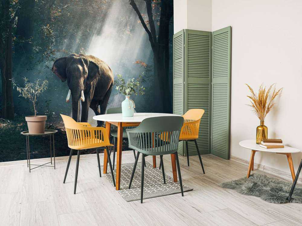 Elefant i en jungle