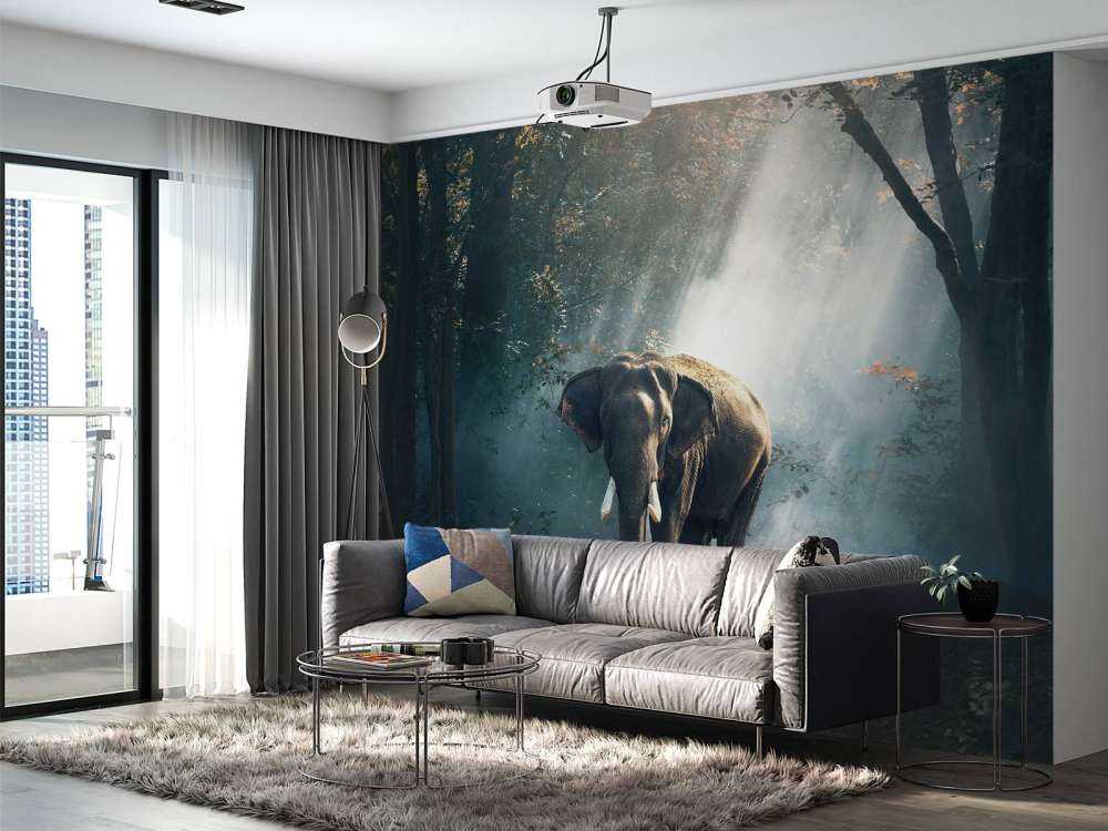 Elefant i en jungle