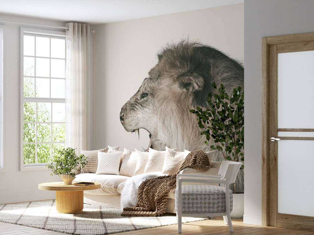 Brølende løve offwhite