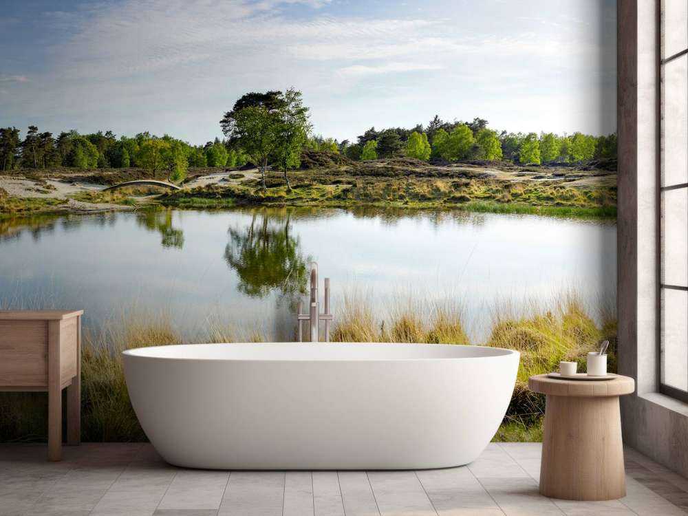 En lille skovsø i lyngområdet