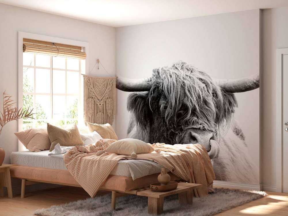 Morsomme skotske høyland