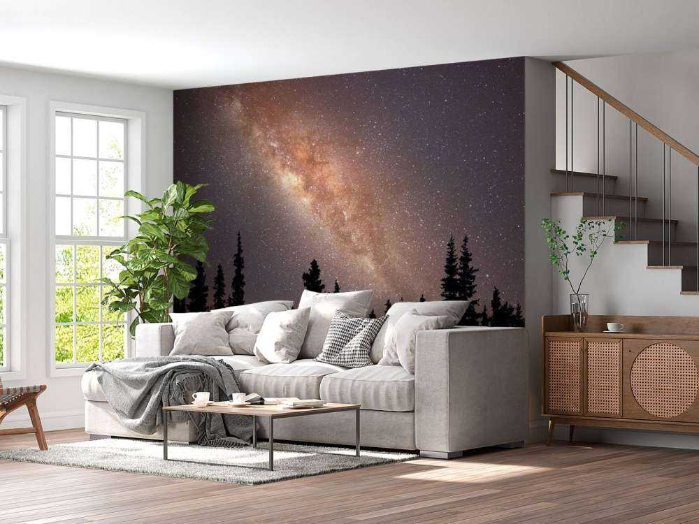 melkevei over silhuetten av trær