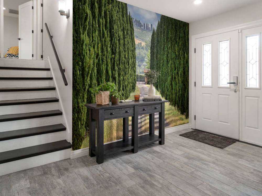 Avenue med sypresser