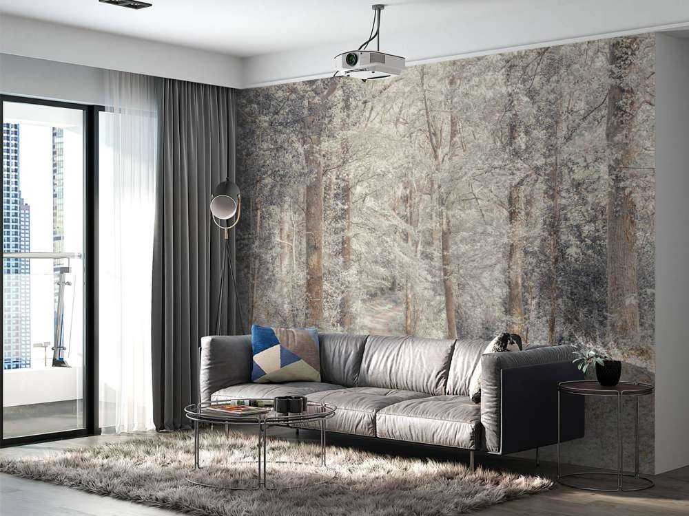 En sti gjennom en grønn skog