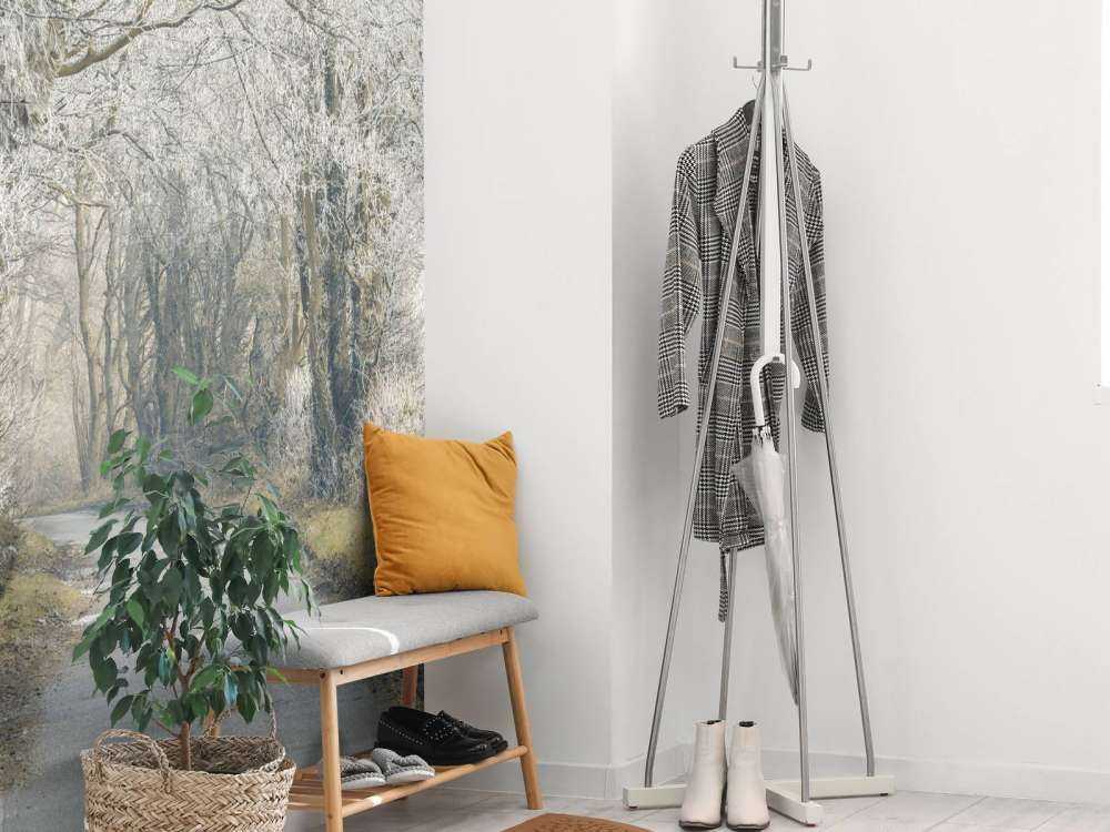 Frosset vei gjennom skog