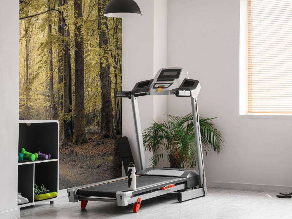 Sti gjennom den grønne skogen