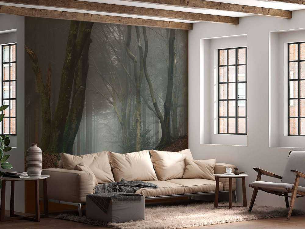 Vei gjennom mystisk skog