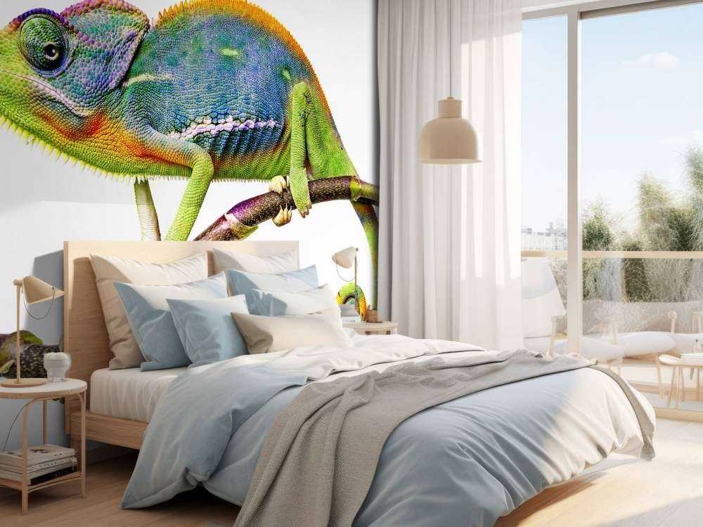 Kameleon