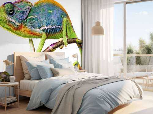 Kameleon