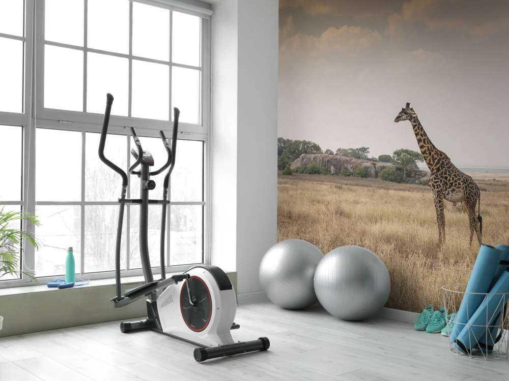 Giraffe på en savanne