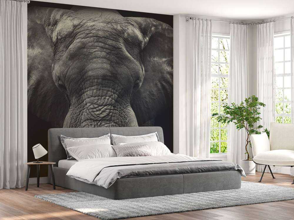 Nærbilde av en elefant