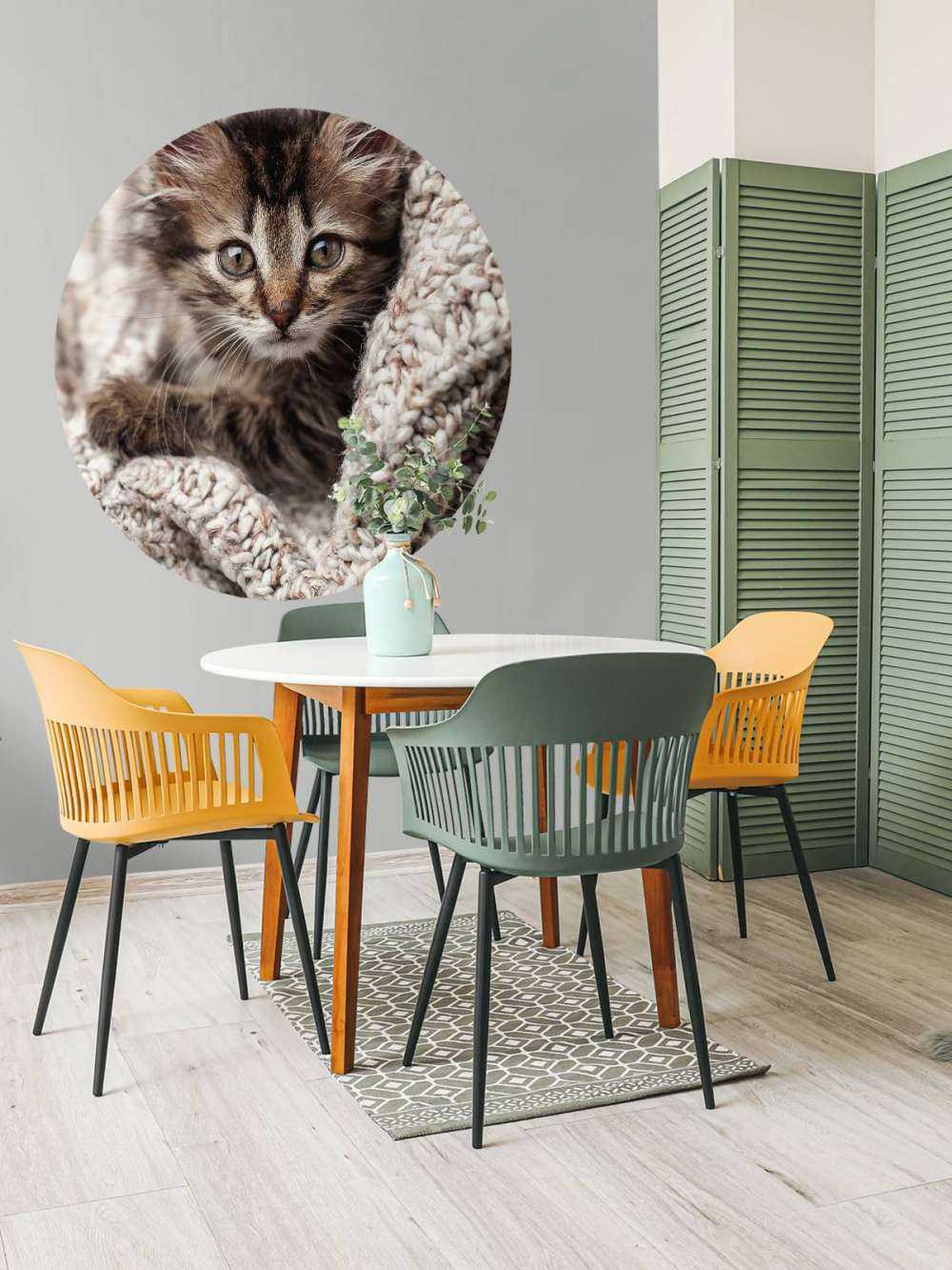 Katt i et teppe