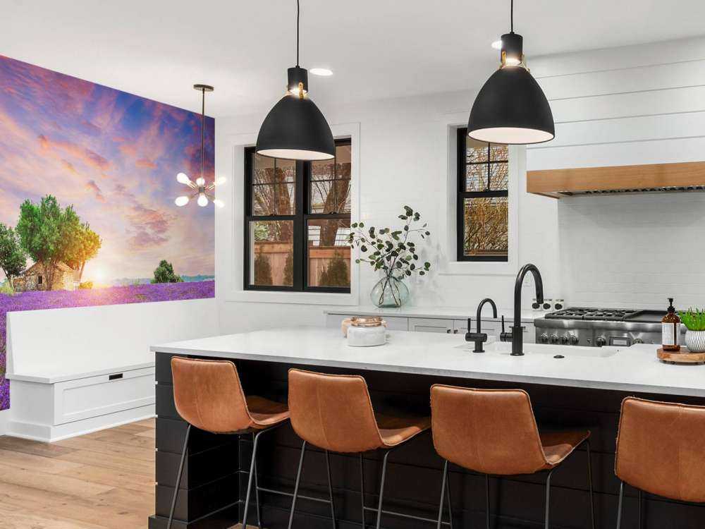 Lavendelåker under soloppgang