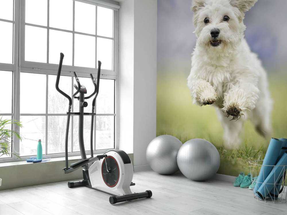 Løpshund