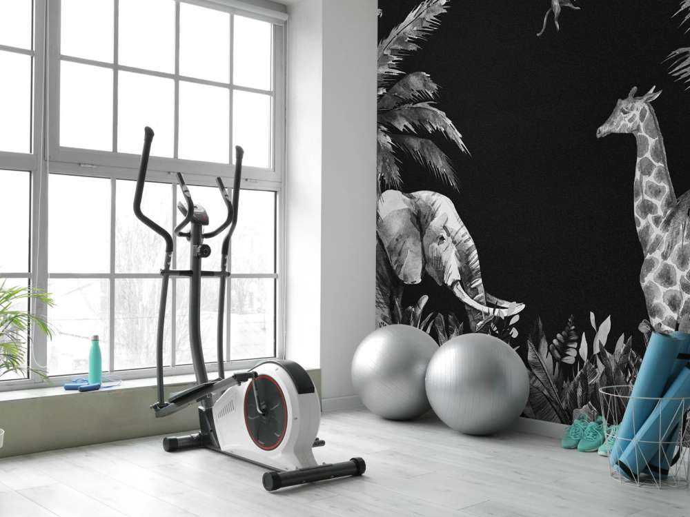 Svarte og hvite jungeldyrr