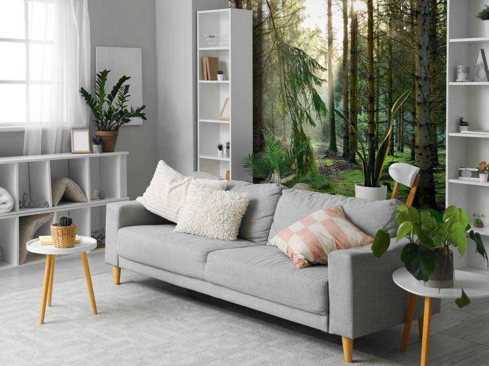 Barskog i morgensolen